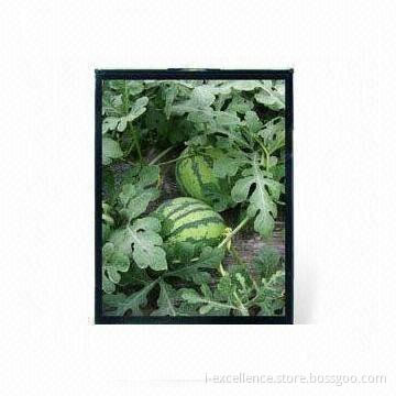 2.4-inch TFT LCD Module with 240 x 320 Pixels Resolution and Good Viewing Angle